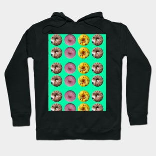 Don’t Look For Love Look For Donuts Hoodie